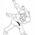 Judo renforce